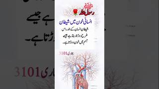 تاجدار کائنات ﷺ 🌹😭 فرمایا انسان اور شیطان #insan #shaitan #trendingshorts #islamic