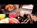 Ref:GD6JdnSBm7Y Bovetti les secrets du chocolat #4