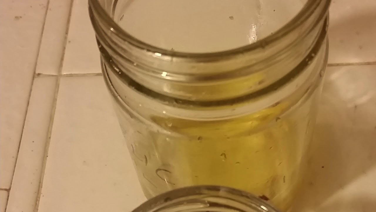 Garlic For Fried Rice video phone beyonce mp3