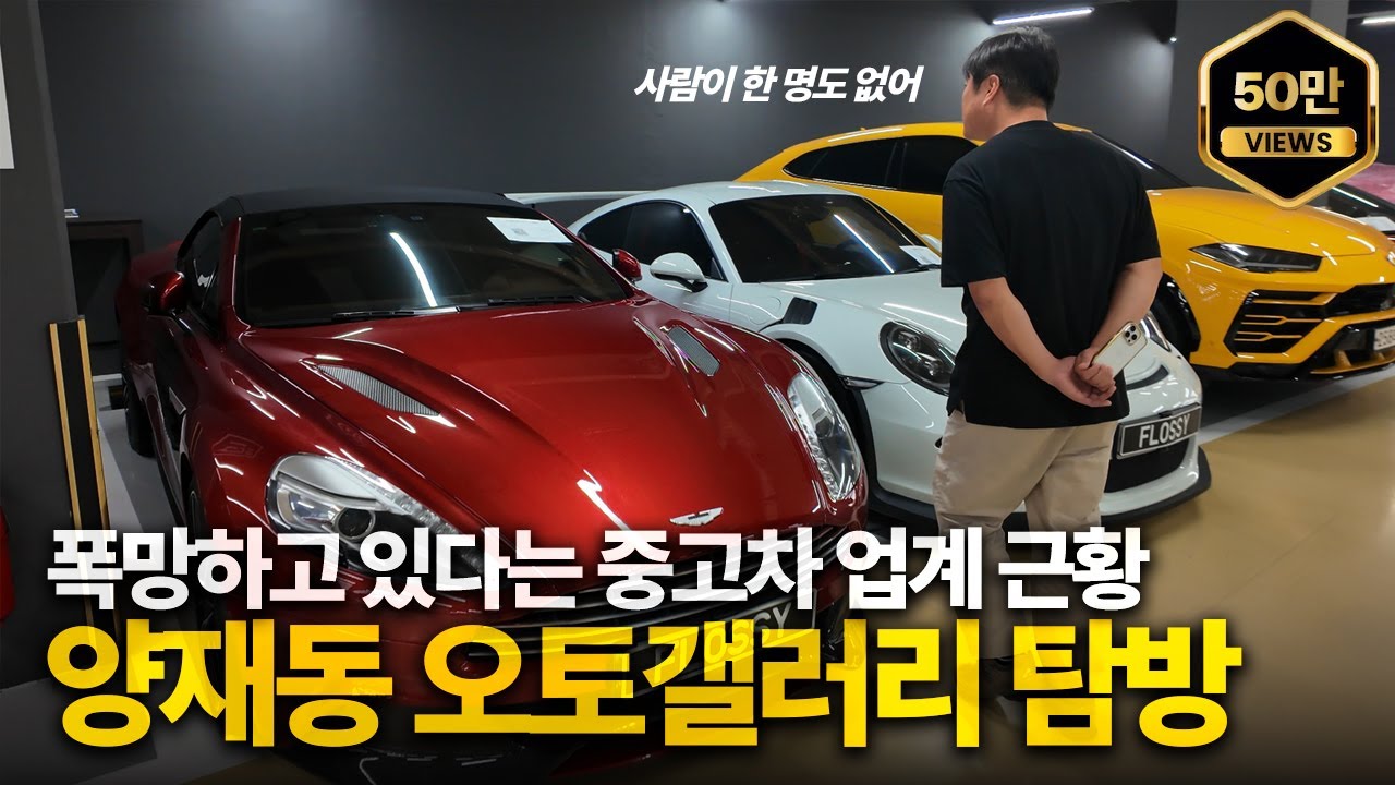 슈퍼카만 수백대?! 대한민국 중고차 시장의 중심 양재동 오토갤러리