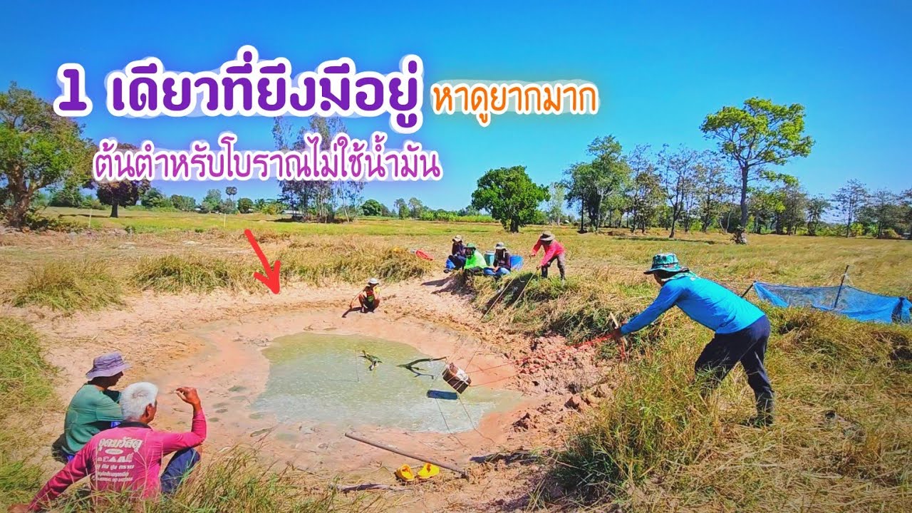 1 เดียวที่ยังมีการสูบสระแบบโบราณอายุเป็น 100 ปี หาดูได้ยากมาก สระบวกเล็กๆได้ปลานับแสน