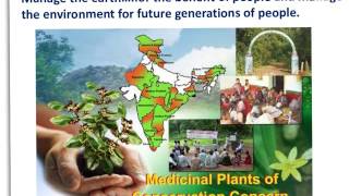 IB ESS - Environmental Values Systems Part I