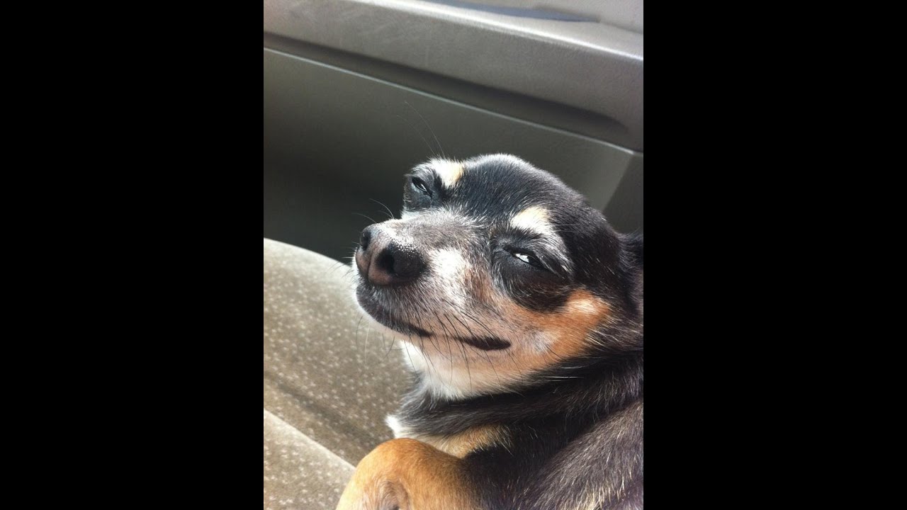 help i left my hot dogs in the microwave for too long and now my house