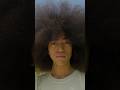 I'm Amir and I have the world's largest afro! ?