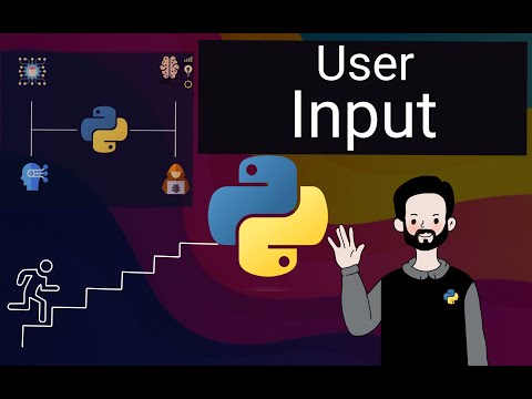 Python User Input