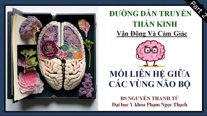 Bệnh zona thần kinh tiếng trung là gì năm 2024