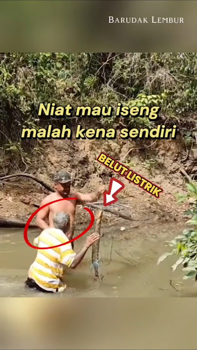 Kekuatan sengatan belut listrik