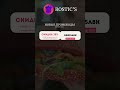 Секретный Промо От Rostics