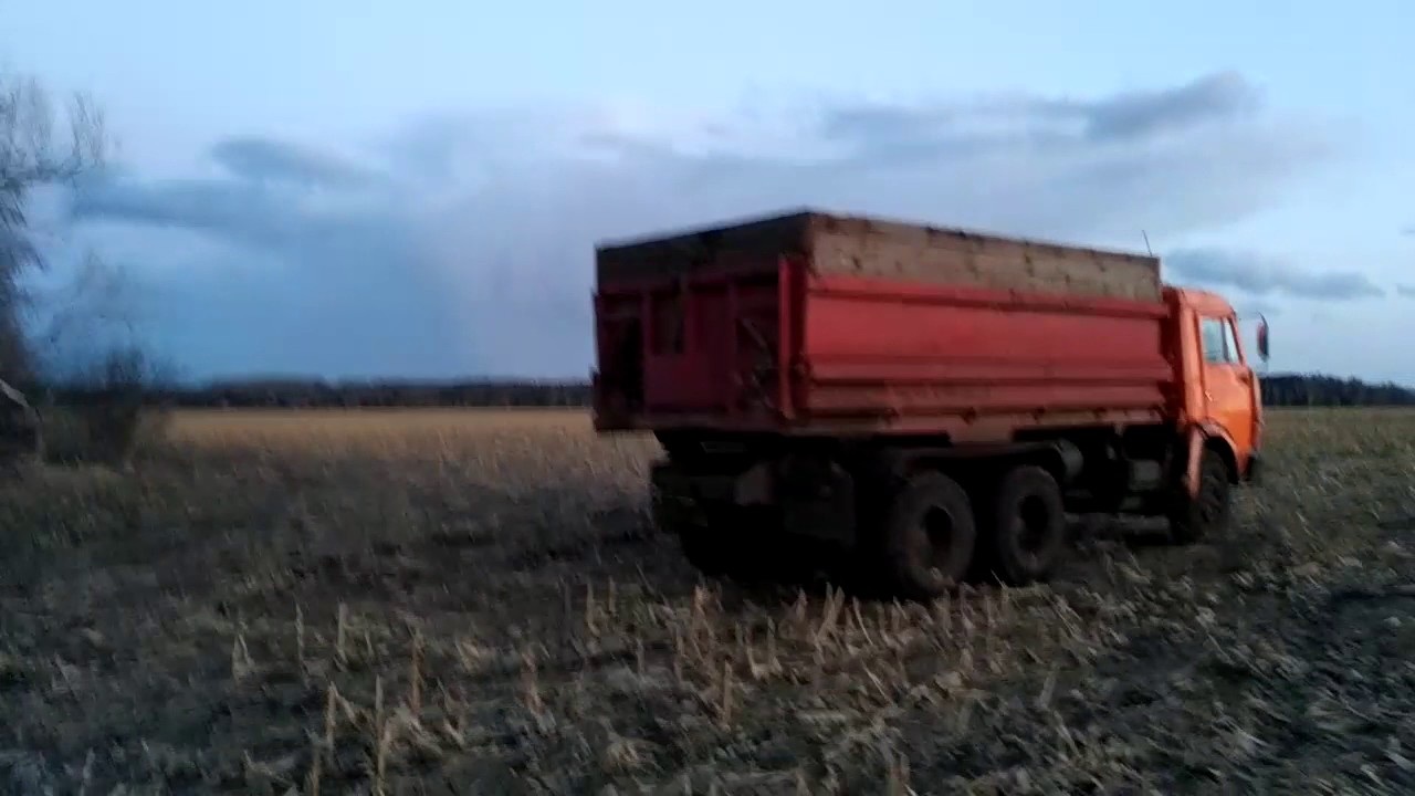 Медведь заводит камаз