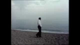 The Fall and Rise of Reginald Perrin