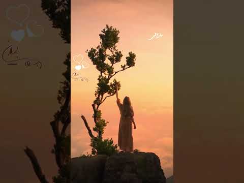 بگذرد این روزگار تلختر از زهر محمدرضا شجریان موسیقی سنتی ایرانی شجریان