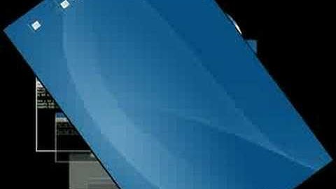 Freewins Real Input Redirection Test