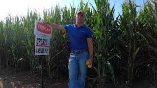 CROPLAN 5370 VT2P & SS