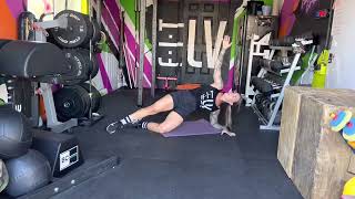 Modified Side Plank Reach Throughs