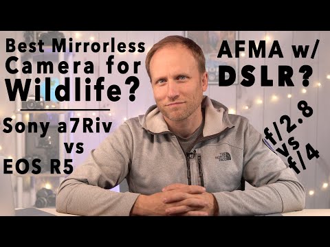 Best Mirrorless for Wildlife? F2/.8 vs f/4 Lenses! R6 vs 6DM2? ANSWERS HERE