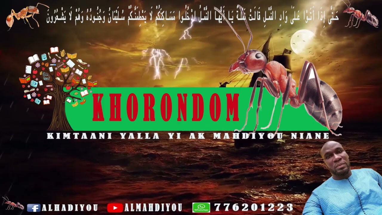 Le secret de l'incroyable force des fourmis KHORONDOM 1