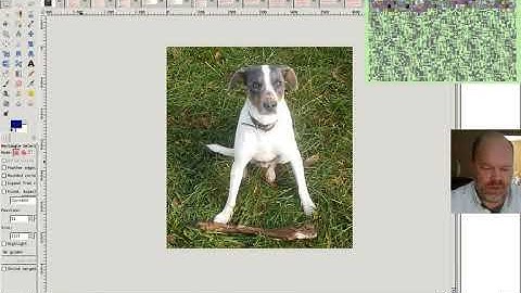 6502 Assembly Language #8: Game of Life Part 1