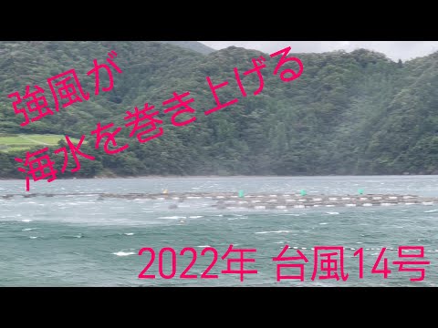強風で海水が巻き上げられる　塩害の原因（2022年台風14号）