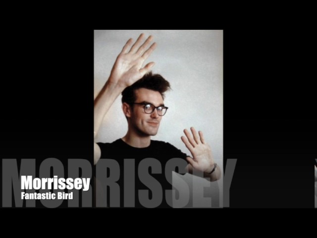 Morrissey - Fantastic Bird (Album Version) class=