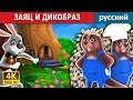 ЗАЯЦ И ДИКОБРАЗ | сказки на ночь | русский сказки