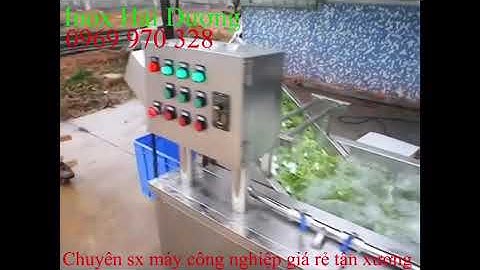 Máy rửa rau củ quả công nghiệp sụt khí ozon