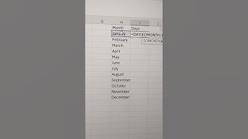 How to use the day with Eomonth in Excel Formula video Amazing for Excel 🔥🔥