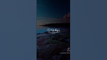 ما تيسر من الذكر الحكيم تلاوة خاشعة مؤثرة مبكية 😭😭🙏💔❤️