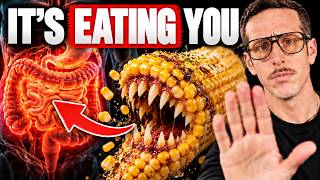 5 Gut-Destroying Foods You Should NEVER Eat Again