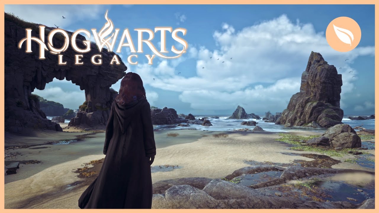 HOGWARTS LEGACY Coastal Vivarium Ambience | No Music | 1 HOUR