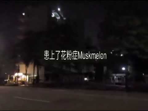 Fashion Centra | #viral #chinese #song #trend #instafeed #reel #foryou #fypviralシ #fyppage #feedmaxx