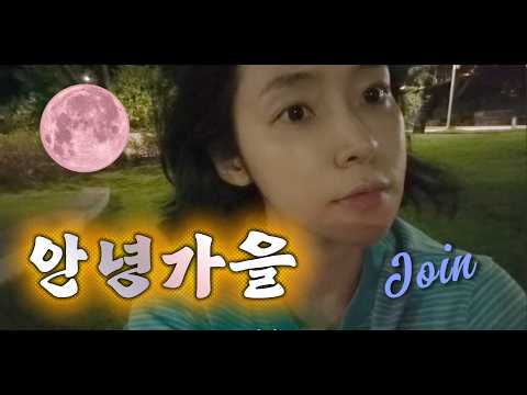 여름 끝자락의 잠 못 이루는 밤 vlog