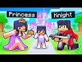 Adopted by a PRINCESS and KNIGHT in Minecraft!