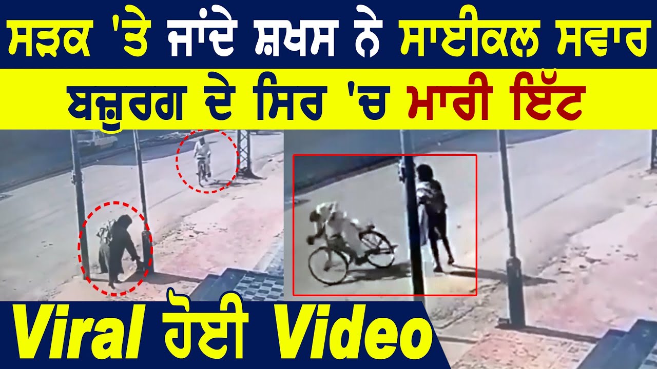 Video Viral: Road पर जा रहे सिरफिरे ने Cycle सवार बज़ुर्ग के सिर में मारी ईंट, मौत की आशंका