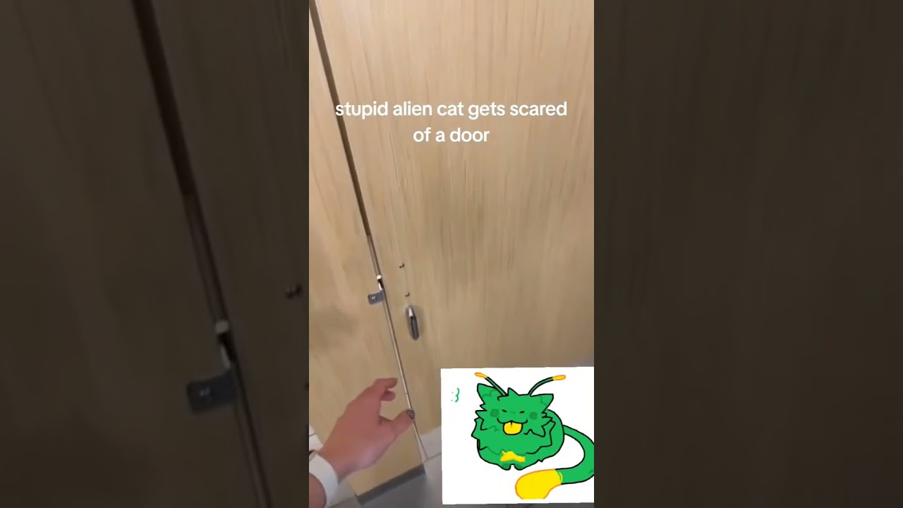 stupid alien cat gets scared of a door. 