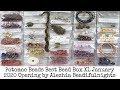 Potomac Beads Best Bead Box XL January 2020 Opening