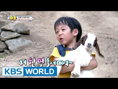 Twins become the baby goat’s mother for today! [The Return of Superman / 2017.07.16]