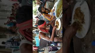 My All Female Picnic Party