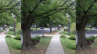 VAV-31 - Hidden Driveway