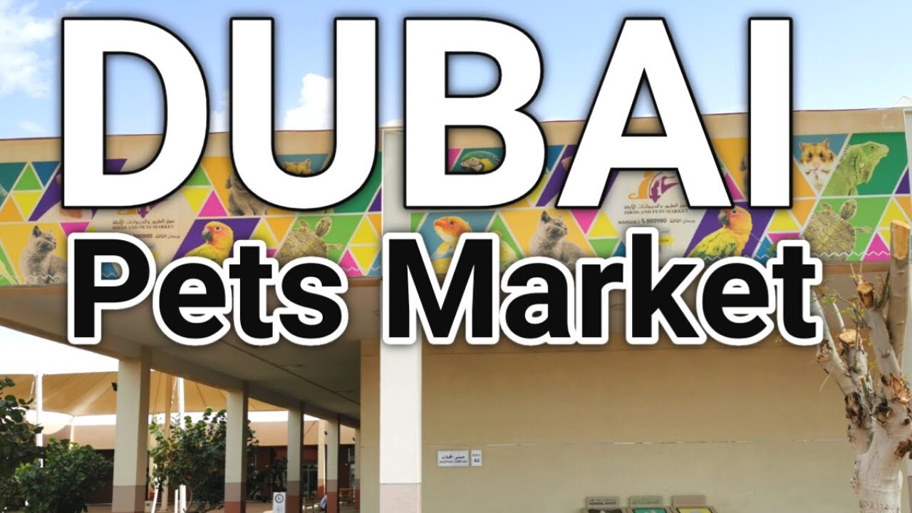Dubai Birds and Pets Market at Al Warsan - YouTube