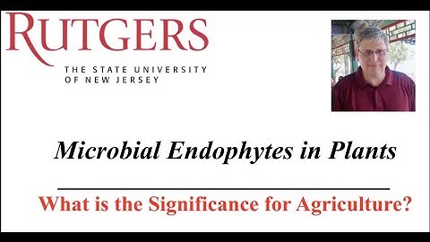 Microbial Endophytes in Plants: Their Significance for Agriculture - Dr. James White | R-SOIL 2025