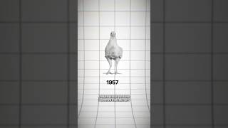 The Year America Changed Chicken Forever