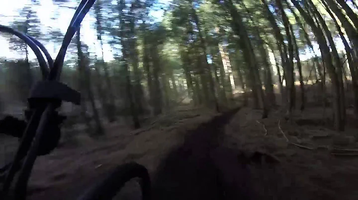 Boy's Trail Ride 8 2 15