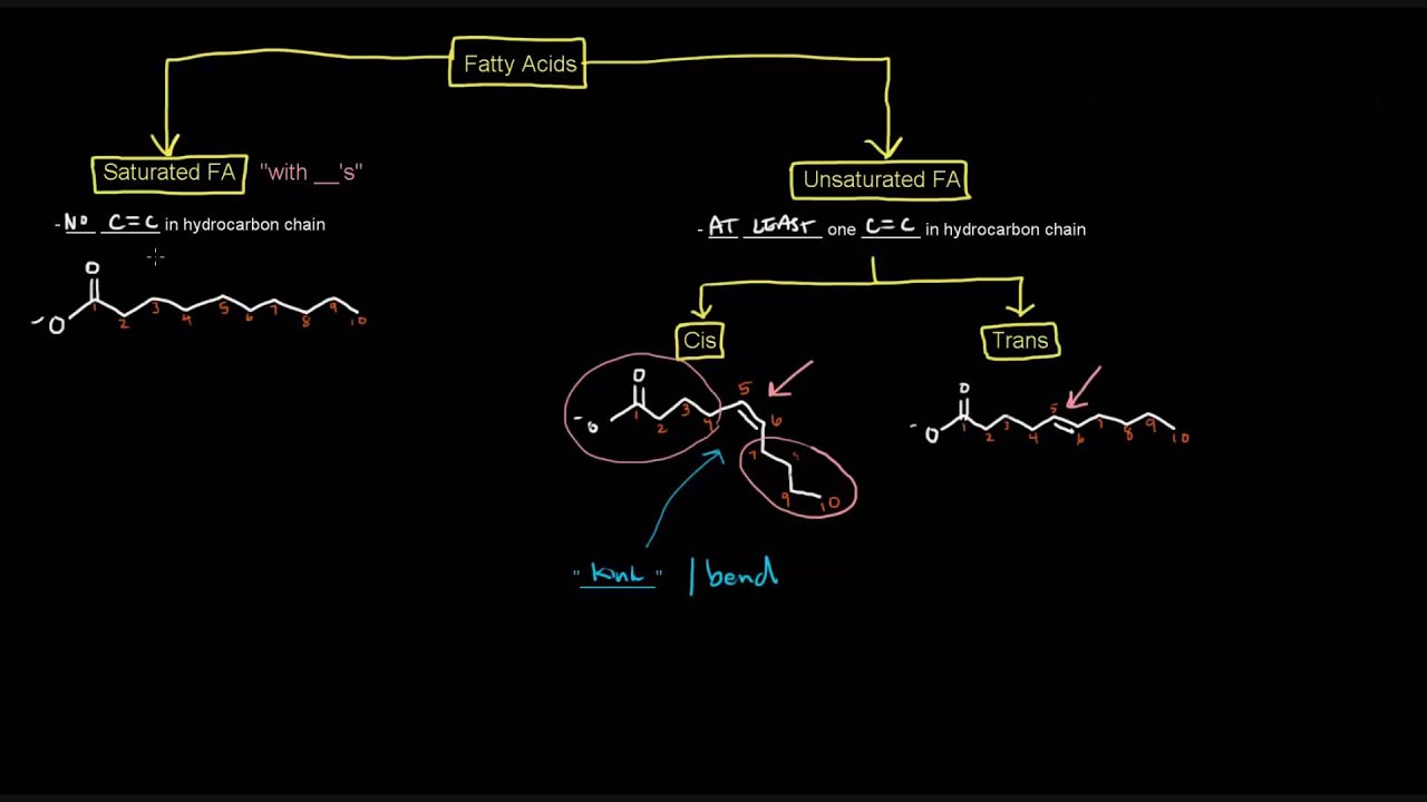 Lipids (Part 2 of 11) Free Fatty Acids Intro and Properties YouTube