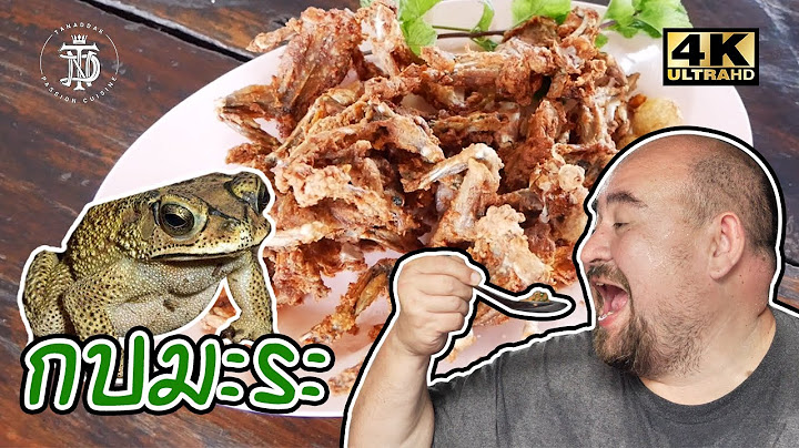 กบมะระ (Toad)