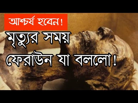 ভিডিও: গায়ক ফেরাউন কে