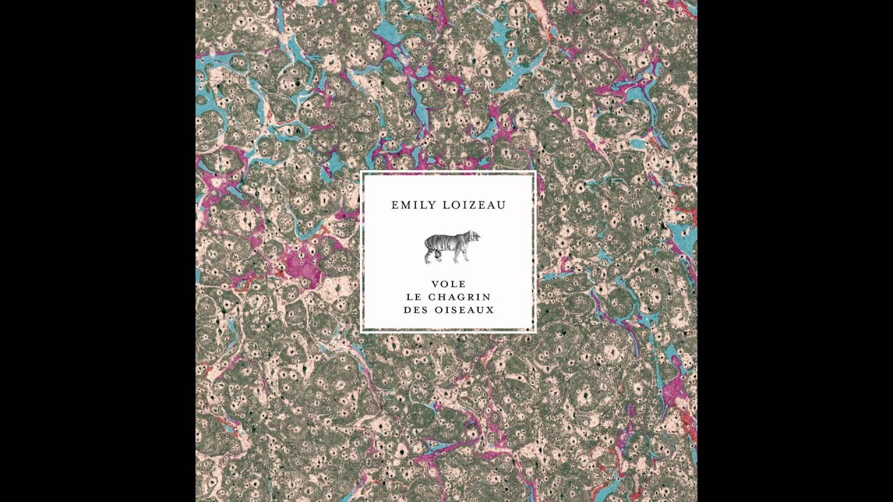 Emily Loizeau - extrait de "Vole le Chagrin des Oiseaux"