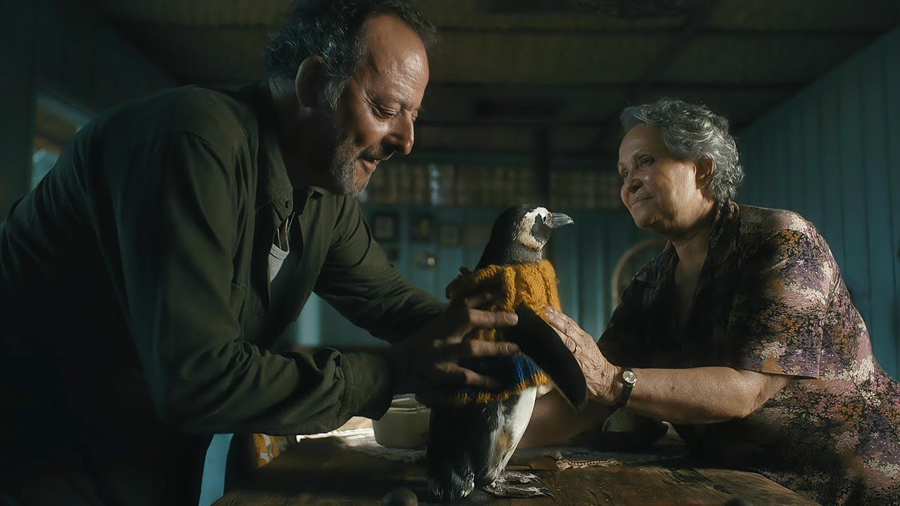 Oiled Penguin Meets Lonely Fisherman: An 8,000km Yearly Miracle