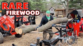 A Rare Haul - Cherry Logs in the Woodyard!