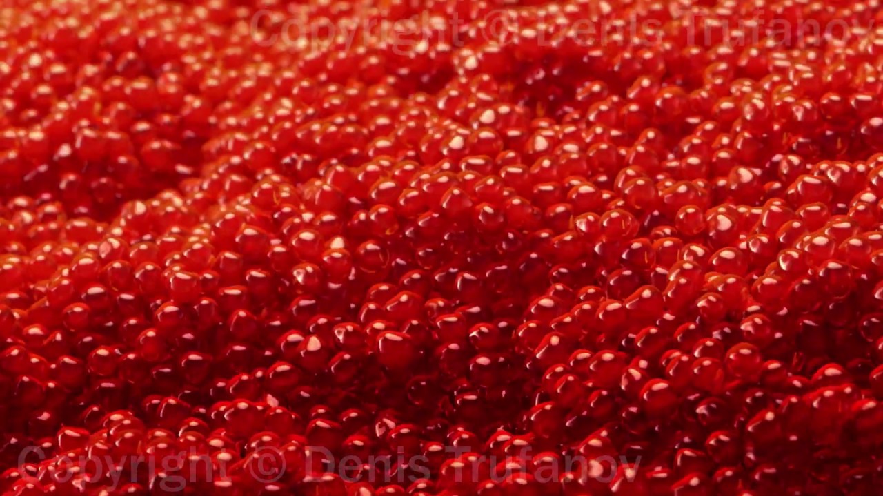 Houdini grains simulation for caviar commercial - YouTube