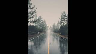 Sadettin Büyükçolak - To Blossom Blue Lake Of Tears Cover